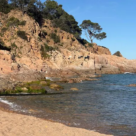 Salions Private Cove